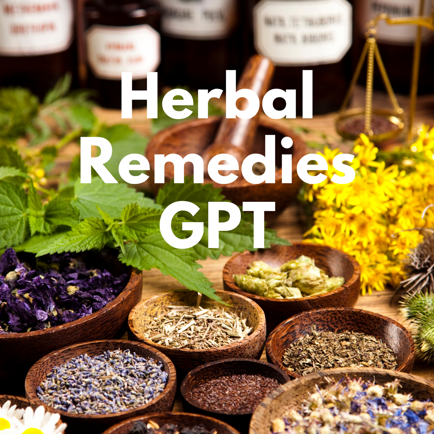 Herbal remedies, herbal remedies for anxiety, herbal remedies for allergies, herbal medicine, herbal tea, herbal tea benefits, natural life, herbal tinctures, medicine ball, medicine for covid, medicine herbs, gpt, chat gpt, chat gpt 4, gpt 4, gpt 3, gpt zero, auto gpt, gpt chat, chat bot, gpt online, seo for etsy, etsy, instant download, digital download, seo for website, chat ai, chat openai, chatbot gpt, chat bot ai, chat bot 